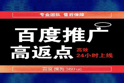 搜索引擎营销（SEM）在本地市场的应用与效果——以某地区企业案例为证